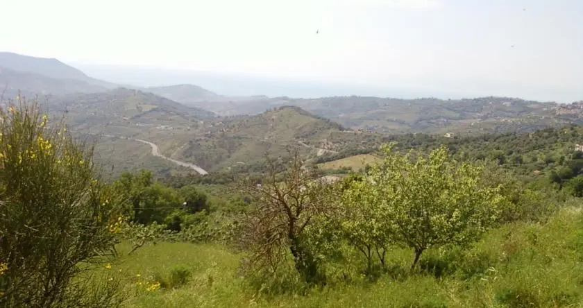 B&B Le Gatte, Prignano Cilento — photo 1