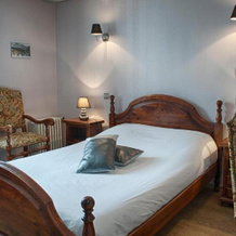 Logis Hotel De France St Andre, La Cote-Saint-Andre — photo 2