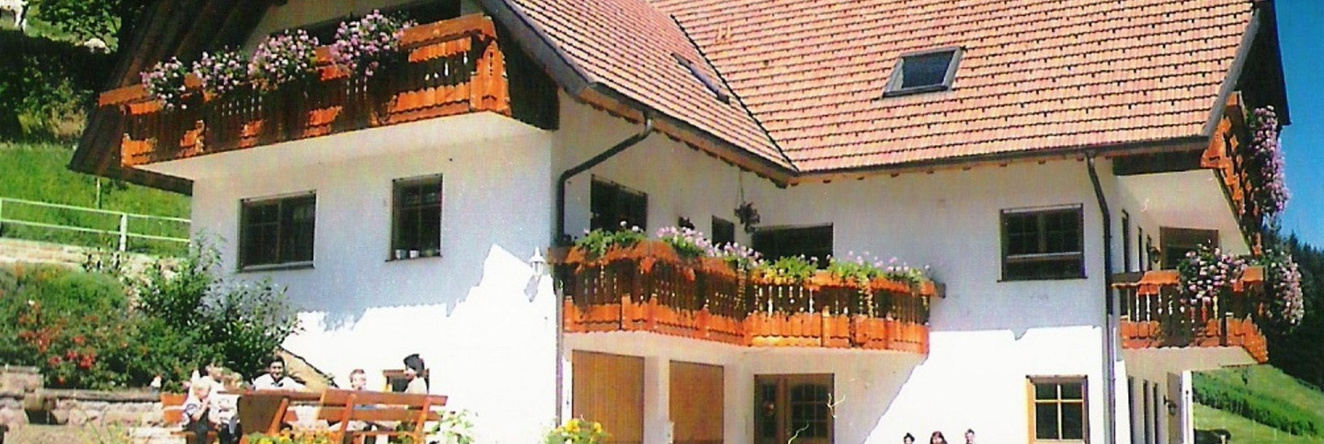 Comfy Apartment in Salmensbach near River, Hofstetten — photo 1