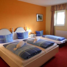 Cross-Country-Hotel Hirsch, Зинсхайм — фото 5