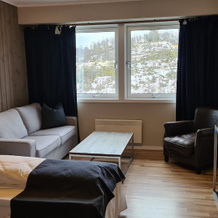 Skinnarbu Nasjonalparkhotell, 廷 — 照片 3