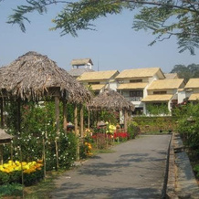 The Iora Retreat, Кохора — фото 2