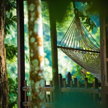 Shanthi Kunnj Homestay, 希卡马加卢鲁 — 照片 2