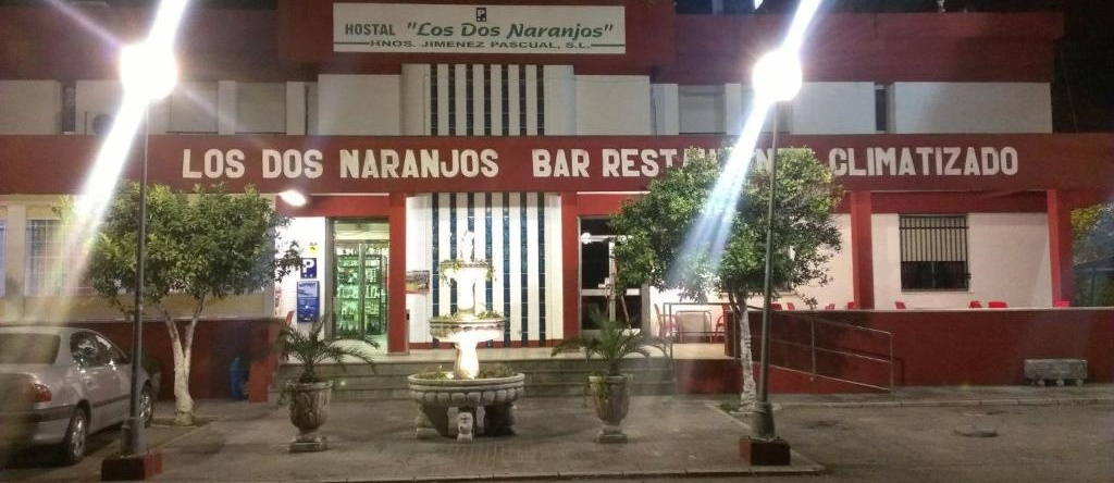 Hostal los Dos Naranjos, 阿拉尔 — 照片 1