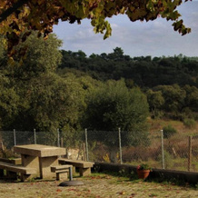 Monte da Fonte Santa de São Luís, 布朗库堡 — 照片 3