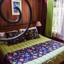 Cloud Forest Lodge, 圣埃伦娜 — 照片 2