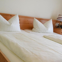 Hotel am Pfahl, Viechtach — photo 3