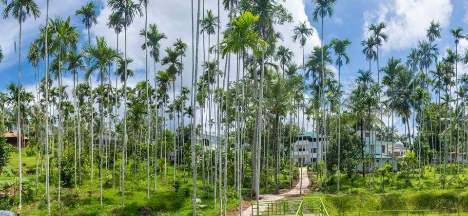 Wayanad Fort Resort, 内杜姆巴塞里 — 照片 1