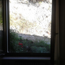 Agriturismo Colle San Martino, 诺切拉翁布拉 — 照片 3