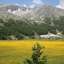 La Pinetina, 圣马西莫 — 照片 4