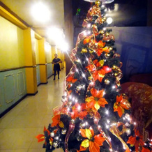 Sugarland Suite, Ormoc — photo 3