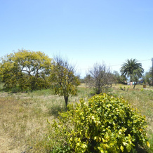 Casa Rural El Jócamo By Isla Bonita, Пунтагорда — фото 5