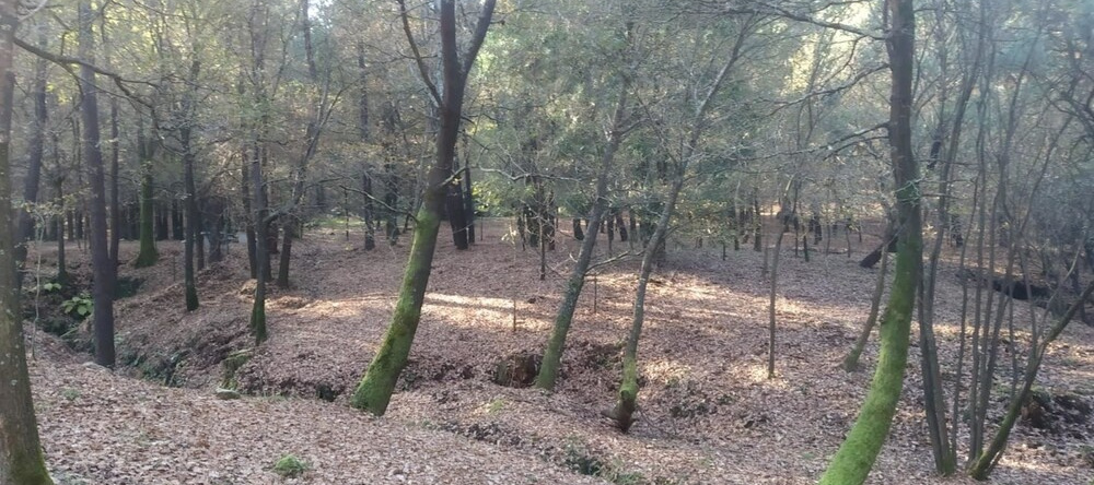 Apartment With one Bedroom in Tui, With Wonderful Mountain View, Terra, 图伊 — 照片 1