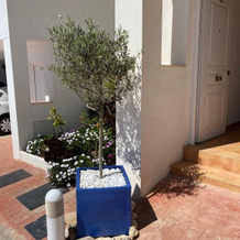 Casa Mediterranea, Relleu — photo 4