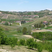Agriturismo Cascina Vrona, Monteu Roero — photo 5