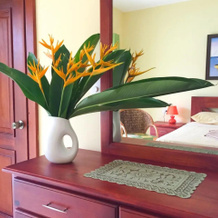 Da Grand Aparta Hotel las Galeras, 拉斯泰雷纳斯 — 照片 4