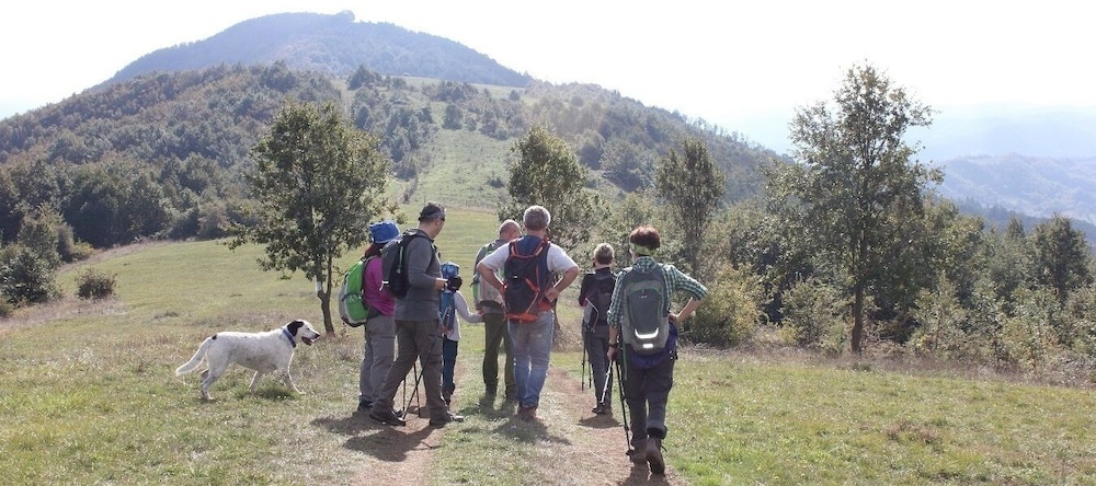 Bio Agriturismo La Cerqua, 彼得拉伦加 — 照片 1