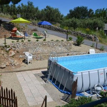 Agriturismo Tendapiccola, 切里亚莱 — 照片 5