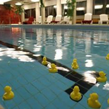 Neues Landhotel Vogelsberg, 罗姆罗德 — 照片 3