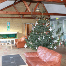 Danhostel Sakskøbing, Lolland — photo 2