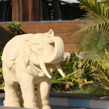 City The Village Resort, Bhuj — photo 4