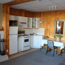 Hotel Manoir Des Laurentides, Сент-Донат — фото 3