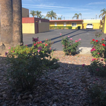 Royal Inn and Suites, Hemet — photo 4
