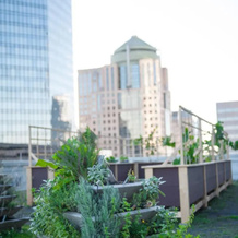 The Ritz-Carlton, Charlotte, Шарлотт — фото 2
