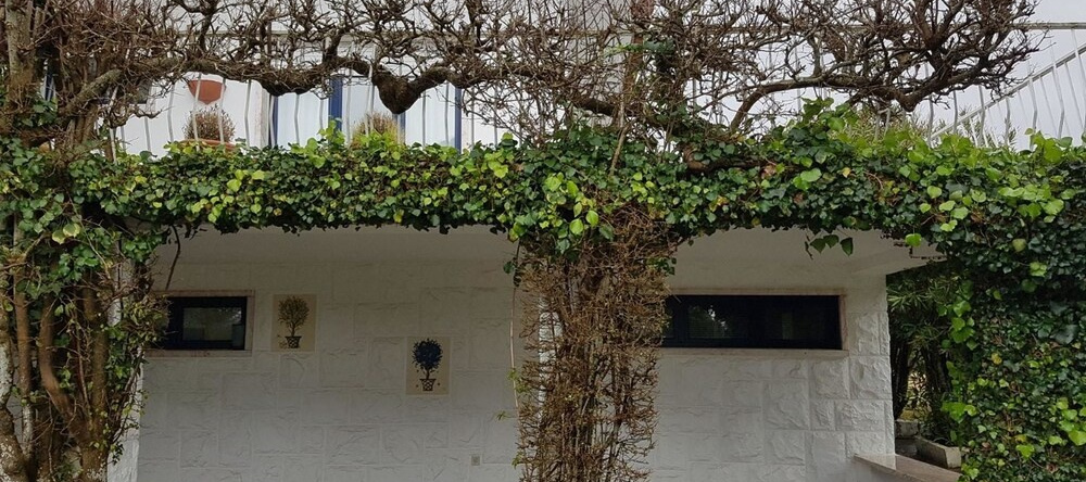 Apartment With one Bedroom in Sintra, With Pool Access, Enclosed Garde, Colares — photo 1
