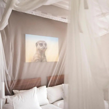 Dornhuegel Guest Farm, 赫鲁特方丹 — 照片 4