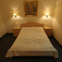 Hotel Horec, Pec pod Snezkou — photo 4
