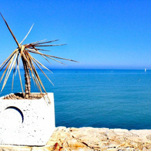 Villa Amelie (Mare e Relax), Bisceglie — photo 4