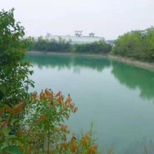 Yanyang Resort Laozi Mountain Hot Spring Villa, Hongze — photo 3