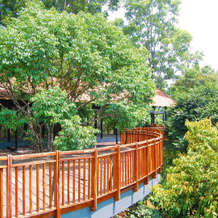 Vythiri Mist Resort, Vellamunda — photo 4