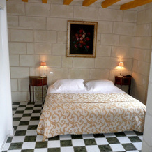 Logis Hôtel Demeure de la Vignole, 图尔坎 — 照片 3