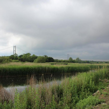 Marshlands Lakeside Nature Retreat, 巴顿-亨伯河畔 — 照片 2