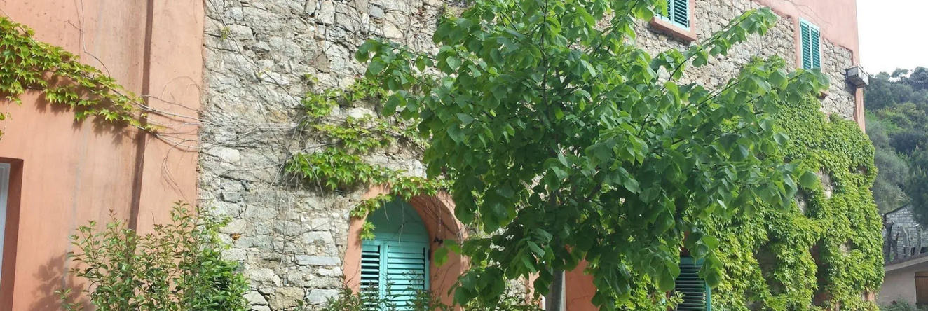 Les Jardins De La Glaciere, Corte — photo 1