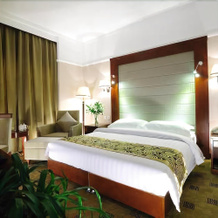 Yangling Xincheng Horizon Hotel, Сяньян — фото 4