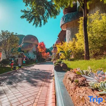 Mushroom outdoor luxury hotel, 黔西南 — 照片 3