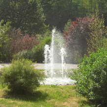 Schwarzwaldhotel Erdrichshof, 奥珀瑙 — 照片 5