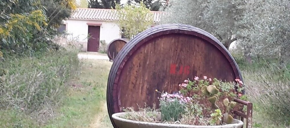 Agriturismo S'Anea, 廖拉萨尔多 — 照片 1