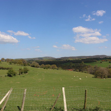 Pen Y Cae, 兰桑南 — 照片 4
