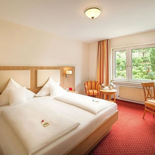 Hotel Pistono, 迪布利希 — 照片 5