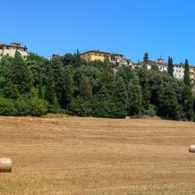 Il Ghianderino Casa Vacanze, 拉泰里纳 — 照片 5