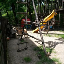 Pension Casa Drumetului, Piatra Neamt — photo 4