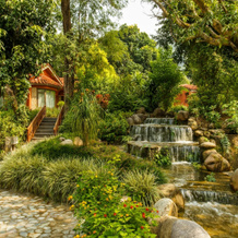 Taj Corbett Resort & Spa, Uttarakhand, 奈尼塔尔 — 照片 5