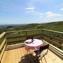 Tiny house au cœur du vignoble beaujolais, 弗勒里 — 照片 4