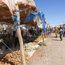 La Kasbah De L'artiste, Kelaat M'Gouna — photo 4