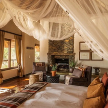 Tuningi Safari Lodge, Заповедник Madikwe Game Reserve — фото 4