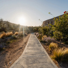 Oliving Mykonos Suites, 米科诺斯 — 照片 4